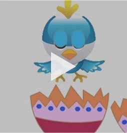 Animation
